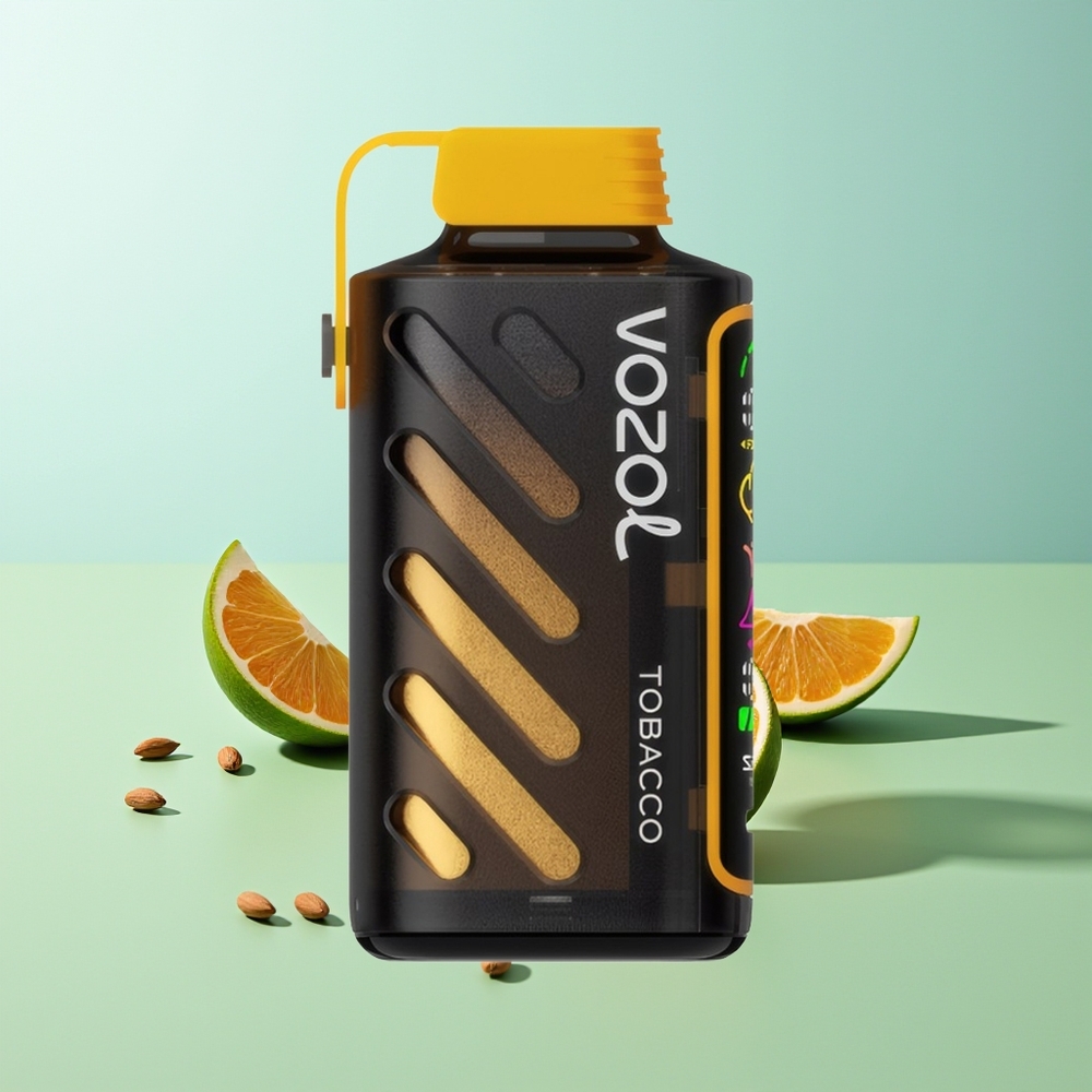 VOZOL Gear Power 20000 תַּבָּק